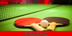 Hướng dẫn cá cược bóng bàn cơ bản, các tỷ lệ kèo nền tảng 7 cá cược bóng bàn