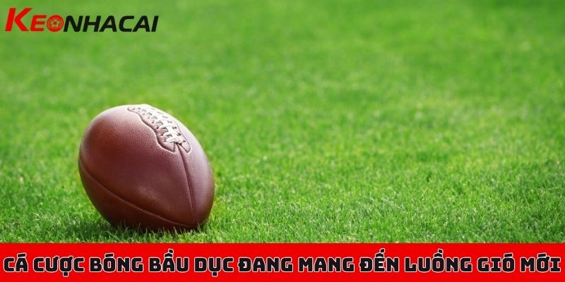 Cá cược bóng bầu dục - Luồng gió mới mẻ cho người đam mê 1 Cá cược bóng bầu dục đang mang đến luồng gió mới ở thời điểm hiện tại
