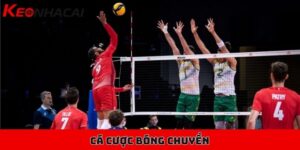 Cá cược bóng chuyền cơ bản cho người mới bắt đầu tìm hiểu 1 Cá cược bóng chuyền