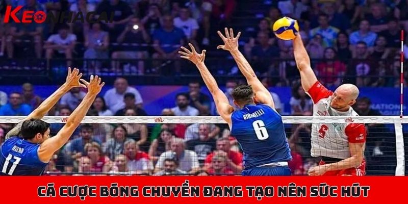 Cá cược bóng chuyền cơ bản cho người mới bắt đầu tìm hiểu 1 Cá cược bóng chuyền đang tạo nên một sức hút cực lớn trên thị trường