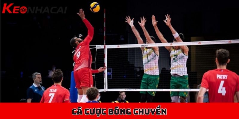 Cá cược bóng chuyền