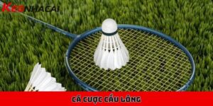Cá cược cầu lông chuyên nghiệp, mở kèo liên tục trong ngày 4 Cá cược cầu lông