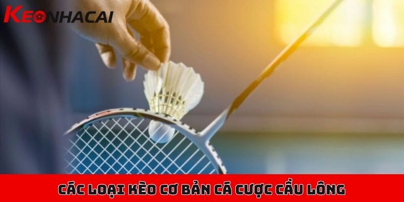 Cá cược cầu lông chuyên nghiệp, mở kèo liên tục trong ngày 2 Các loại kèo cơ bản giúp bạn dễ dàng làm quen với cá cược cầu lông