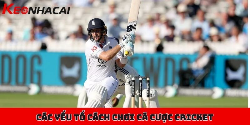Cách chơi cá cược Cricket, bộ môn bóng gậy mới lạ, hấp dẫn 3 Các yếu tố quan trọng ảnh hưởng trực tiếp đến cách chơi cá cược Cricket