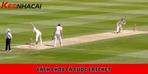 Cách chơi cá cược Cricket, bộ môn bóng gậy mới lạ, hấp dẫn 2 Cách chơi cá cược Cricket