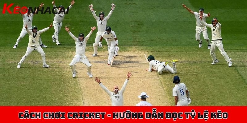 Cách chơi cá cược Cricket, bộ môn bóng gậy mới lạ, hấp dẫn 2 Cách chơi cá cược Cricket - Hướng dẫn đọc tỷ lệ kèo chuẩn cho người mới