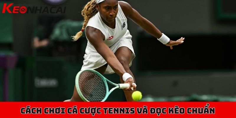 Hướng dẫn cách chơi cá cược Tennis đơn giản, cực kỳ dễ hiểu 3 Cách chơi cá cược Tennis và đọc kèo chuẩn cho người mới