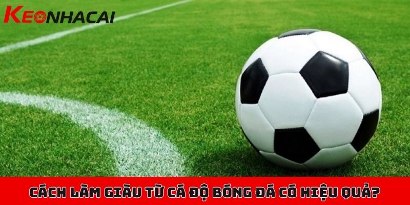 Cách làm giàu từ cá độ bóng đá có thật sự giúp bạn "giàu"? 1 Cách làm giàu từ cá độ bóng đá có thật sự mang đến hiệu quả?