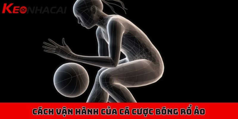 Cá cược bóng rổ ảo - Xu hướng mới trong thế giới trực tuyến 1 Cách vận hành của cá cược bóng rổ ảo, nền tảng cơ bản