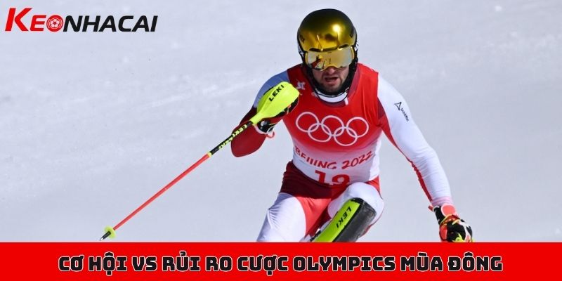 Phân tích cơ hội vs rủi ro khi cược thể thao và Olympics Mùa Đông