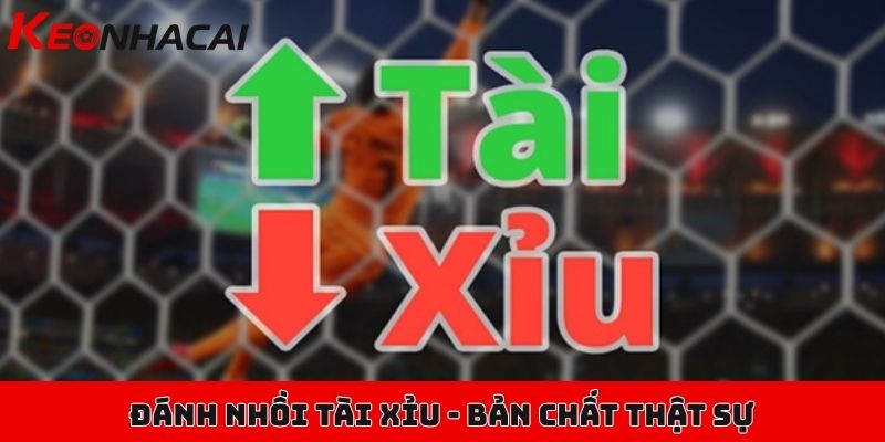 Chiến thuật đánh nhồi tài xỉu hiệu quả, tỷ lệ trúng cực cao 1 Đánh nhồi tài xỉu - bản chất thật sự của chiến thuật này