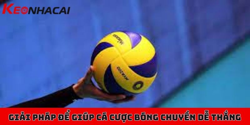 Cá cược bóng chuyền cơ bản cho người mới bắt đầu tìm hiểu 3 Những lỗi phổ biến và giải pháp để giúp người mới cá cược bóng chuyền dễ thắng hơn