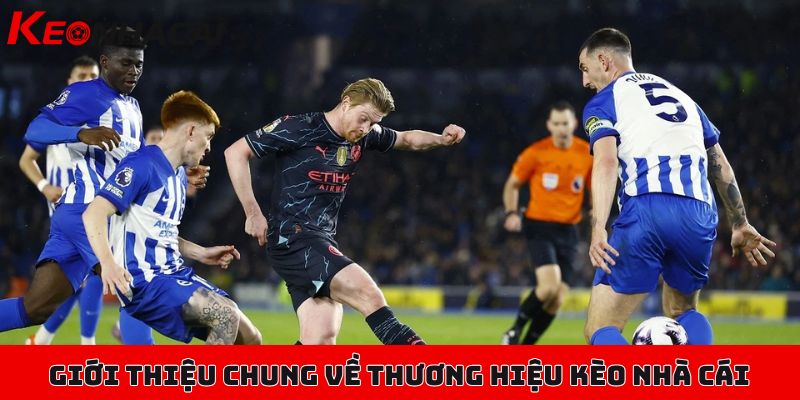 144 Giới thiệu chung về thương hiệu Kèo Nhà Cái cực xanh chín