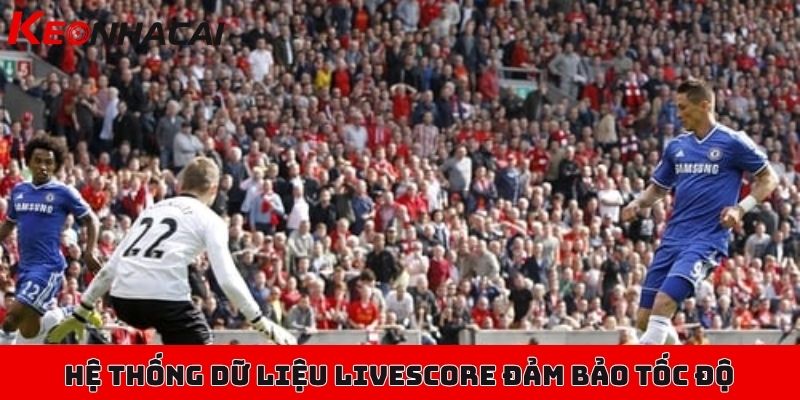 Livescore tỷ số, cập nhật nhanh tỷ lệ kèo, kết quả mới nhất 2 Hệ thống dữ liệu Livescore đảm bảo tốc độ và độ chính xác cho người dùngHệ thống dữ liệu Livescore đảm bảo tốc độ và độ chính xác cho người dùng