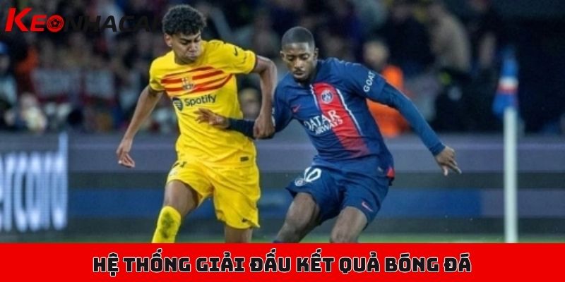 Tổng hợp kết quả bóng đá, đầy đủ các giải từ cỏ đến chuyên 3 Hệ thống giải đấu được hỗ trợ tại kết quả bóng đá của Kèo Nhà Cái