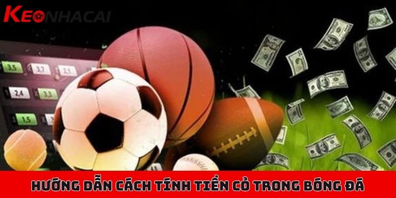 Cách tính tiền cỏ trong bóng đá, thuật ngữ và cách thực hiện 2 Hướng dẫn cách tính tiền cỏ trong bóng đá với ví dụ cơ bản cho người mới