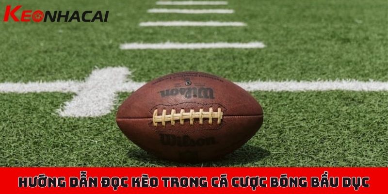 Cá cược bóng bầu dục - Luồng gió mới mẻ cho người đam mê 3 Hướng dẫn đọc một vài loại kèo cơ bản trong cá cược bóng bầu dục