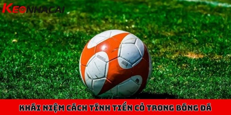 Cách tính tiền cỏ trong bóng đá, thuật ngữ và cách thực hiện 1 Khái niệm cơ bản của cách tính tiền cỏ trong bóng đá