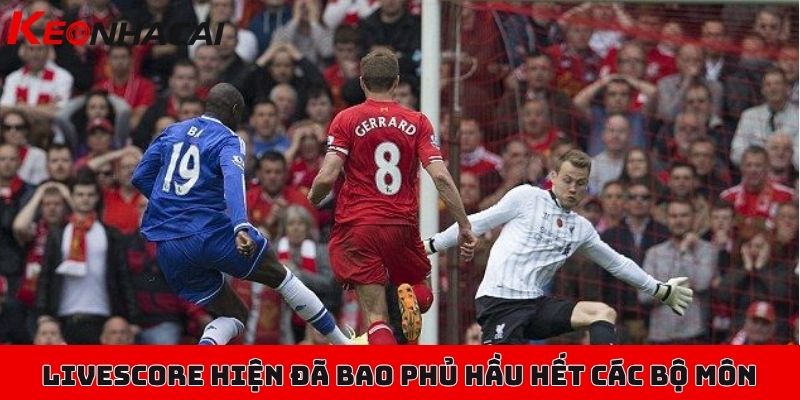 Livescore tỷ số, cập nhật nhanh tỷ lệ kèo, kết quả mới nhất 3 Livescore hiện đã bao phủ hầu hết các bộ môn thể thao được yêu thích