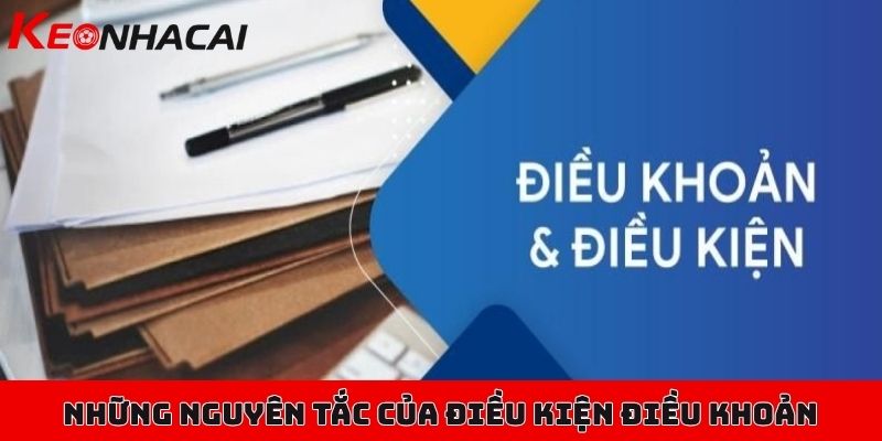 Điều kiện điều khoản của Kèo Nhà Cái cập nhật mới hôm nay 2 Những nguyên tắc nền tảng của website Kèo Nhà Cái cập nhật mới nhất