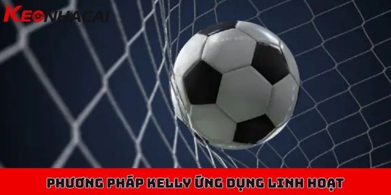 Phương pháp Kelly trong cá độ - Tăng cơ hội tránh rủi ro 3 Phương pháp Kelly trong cá độ được ứng dụng linh hoạt