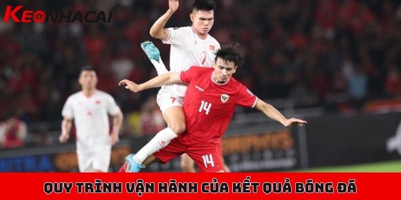 Tổng hợp kết quả bóng đá, đầy đủ các giải từ cỏ đến chuyên 2 Quy trình vận hành, các tính năng đặc biệt của kết quả bóng đá