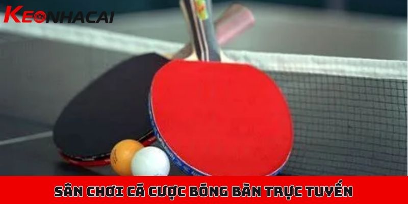 Hướng dẫn cá cược bóng bàn cơ bản, các tỷ lệ kèo nền tảng 1 Sân chơi cá cược bóng bàn trực tuyến, kịch tính đến từng giây