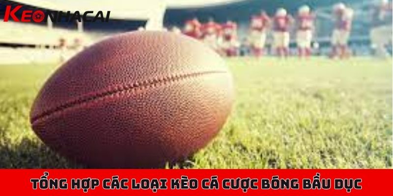 Cá cược bóng bầu dục - Luồng gió mới mẻ cho người đam mê 2 Tổng hợp các loại kèo phổ biến, cơ bản nhất của cá cược bóng bầu dục