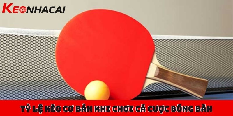 Hướng dẫn cá cược bóng bàn cơ bản, các tỷ lệ kèo nền tảng 2 Một vài tỷ lệ kèo cơ bản khi chơi cá cược bóng bàn trực tuyến