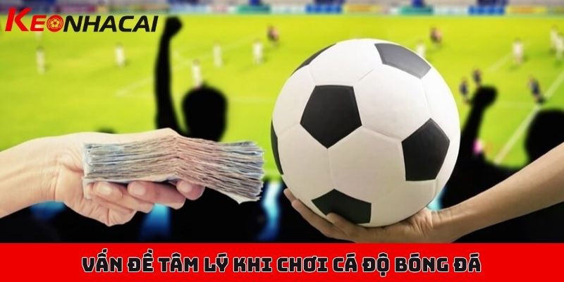 Giải quyết bài toán tâm lý khi chơi cá độ bóng đá triệt để 1 Những trường hợp phổ biến của vấn đề tâm lý khi chơi cá độ bóng đá